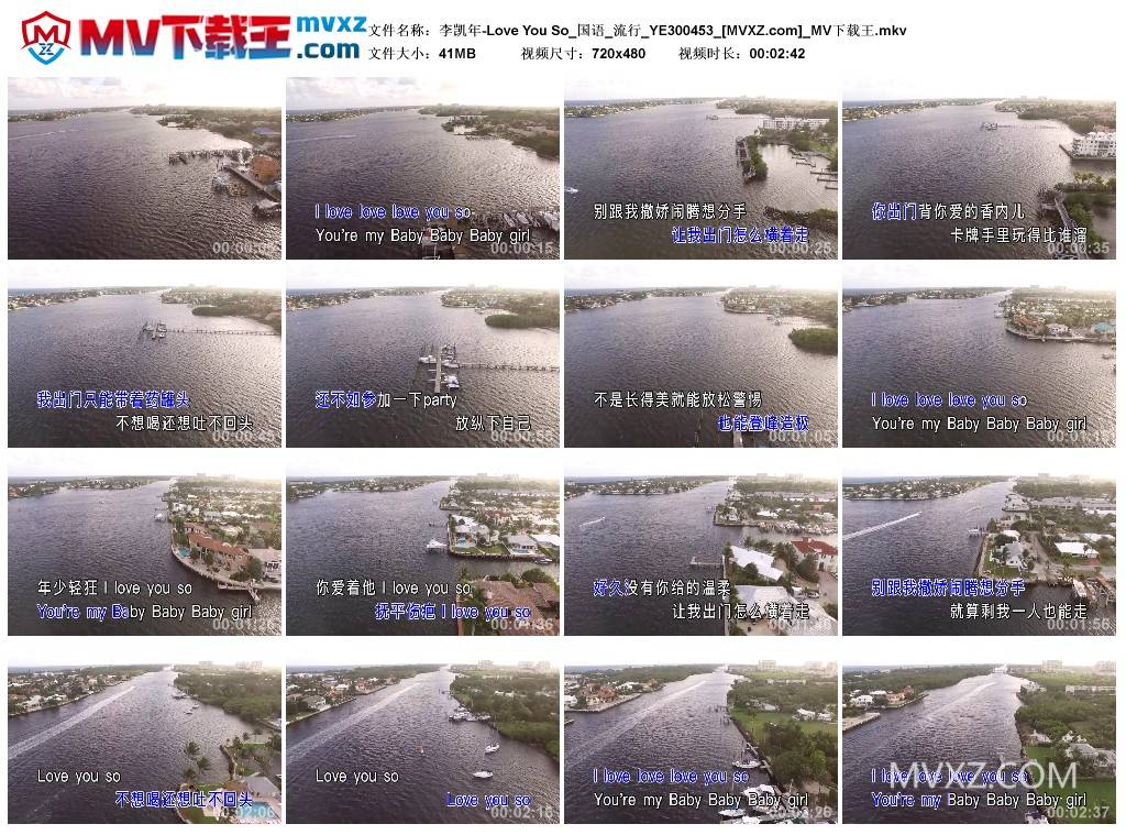 李凯年-Love You So_国语_流行_YE300453